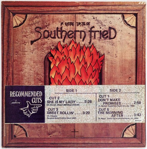 Southern Fried / A Little Taste Of Southern Fried (White Label Promo)β
